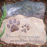 393444_10151065973943722_1674764977_n